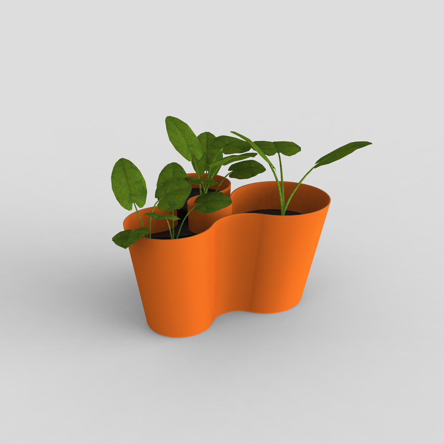 coral crest stand orange holding a plant