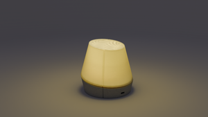 Descriptive image text