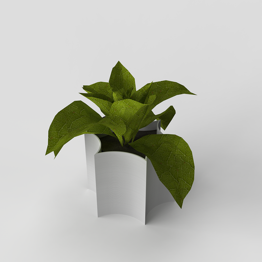 Star Coral Pot with a decorative indoor plant