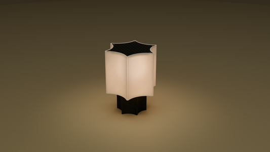 On shot of star coral lamp in black color