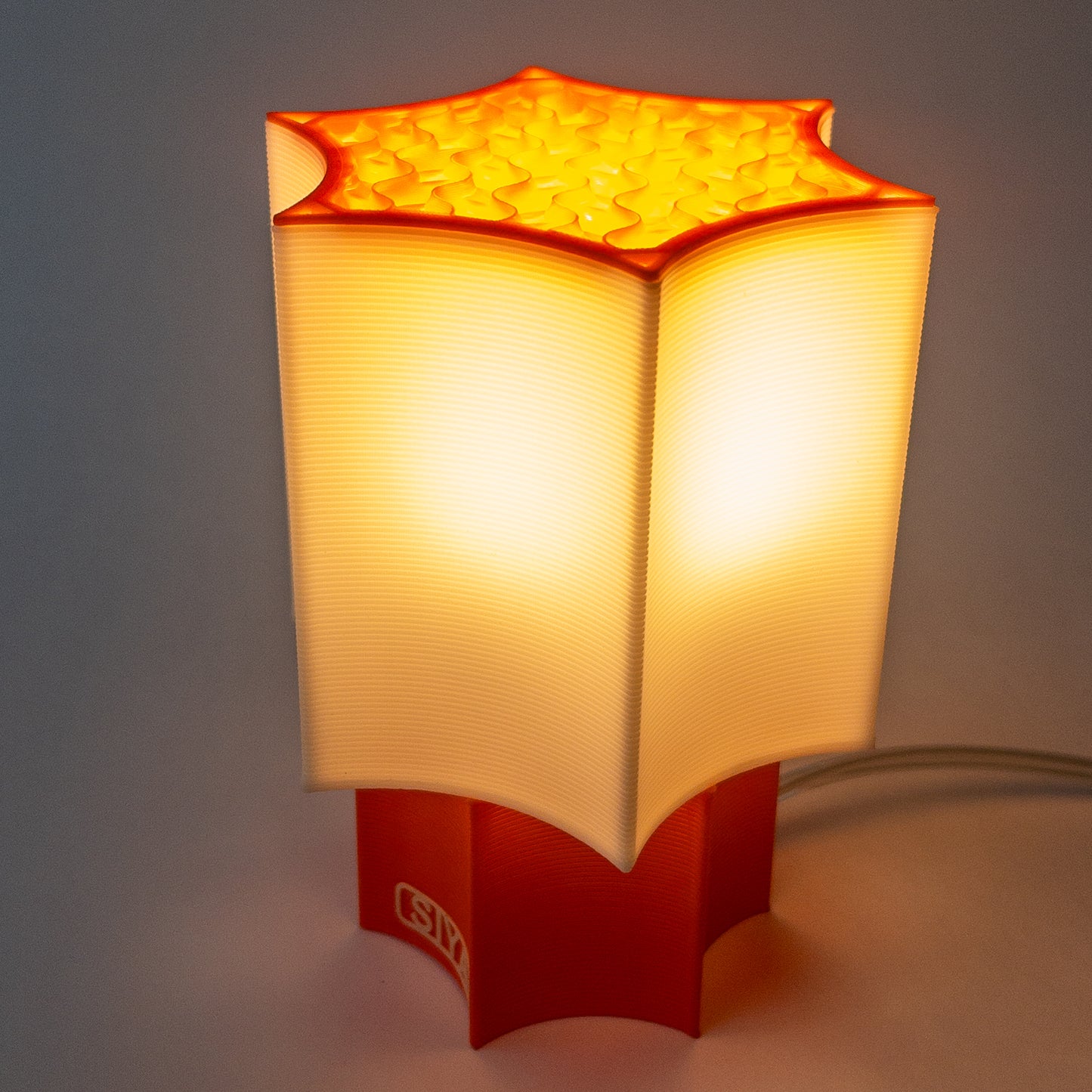 Star Coral Lamp