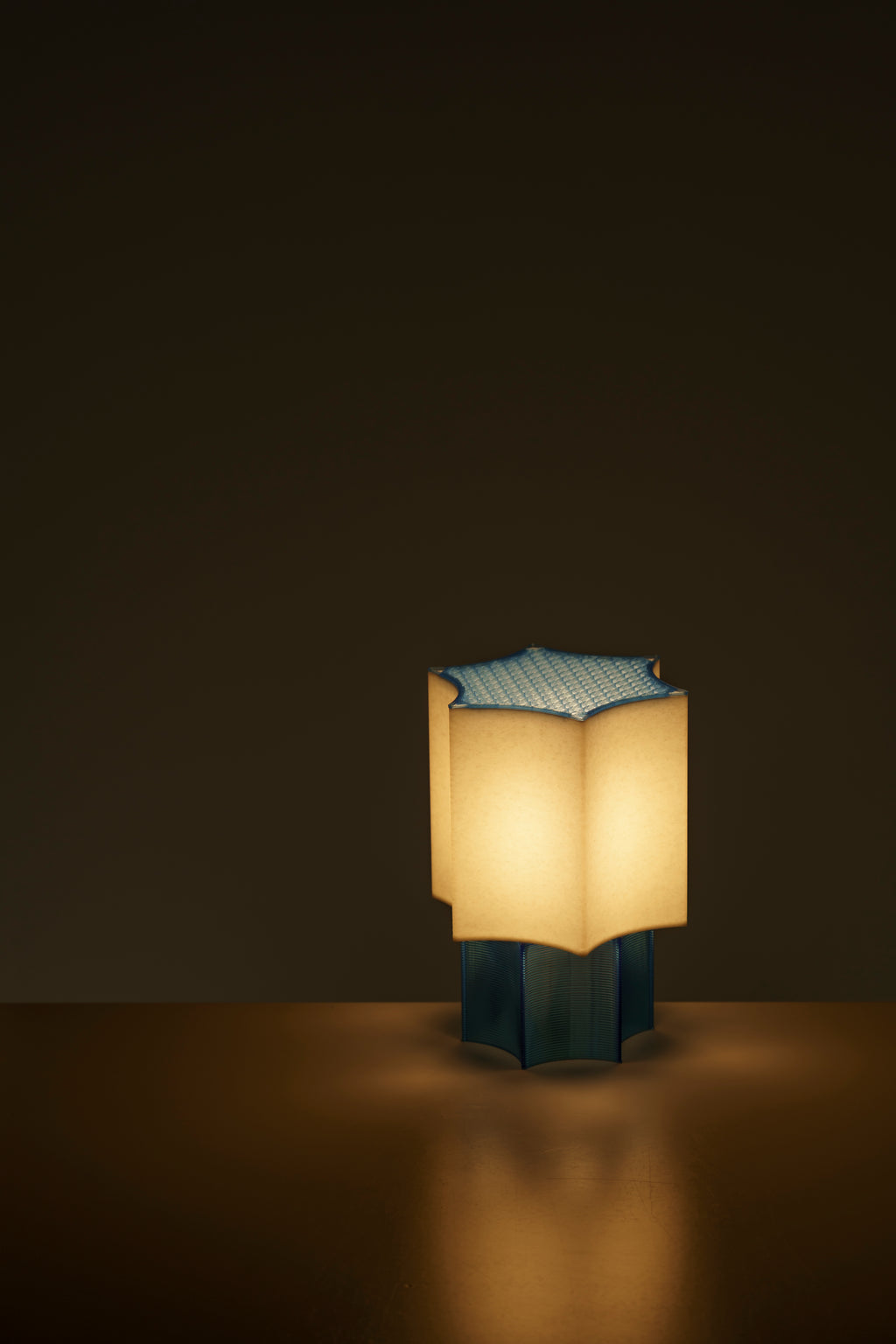 Clear Star Coral Lamp