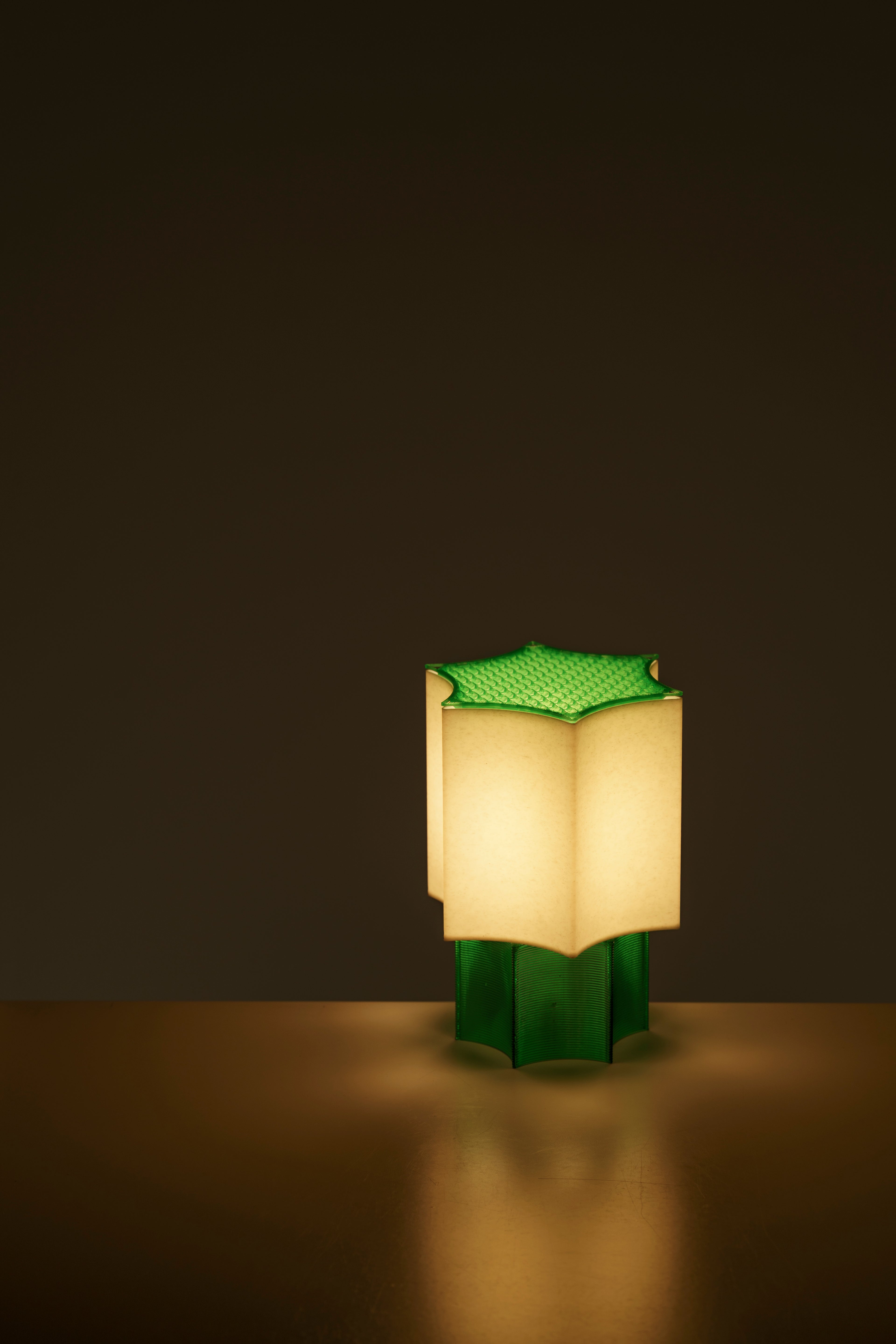 Clear Star Coral Lamp