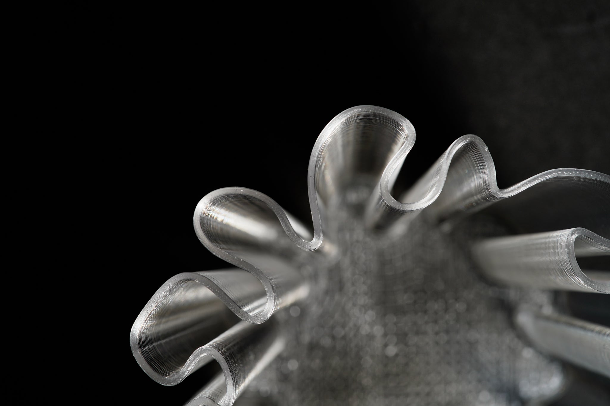 Coral vase