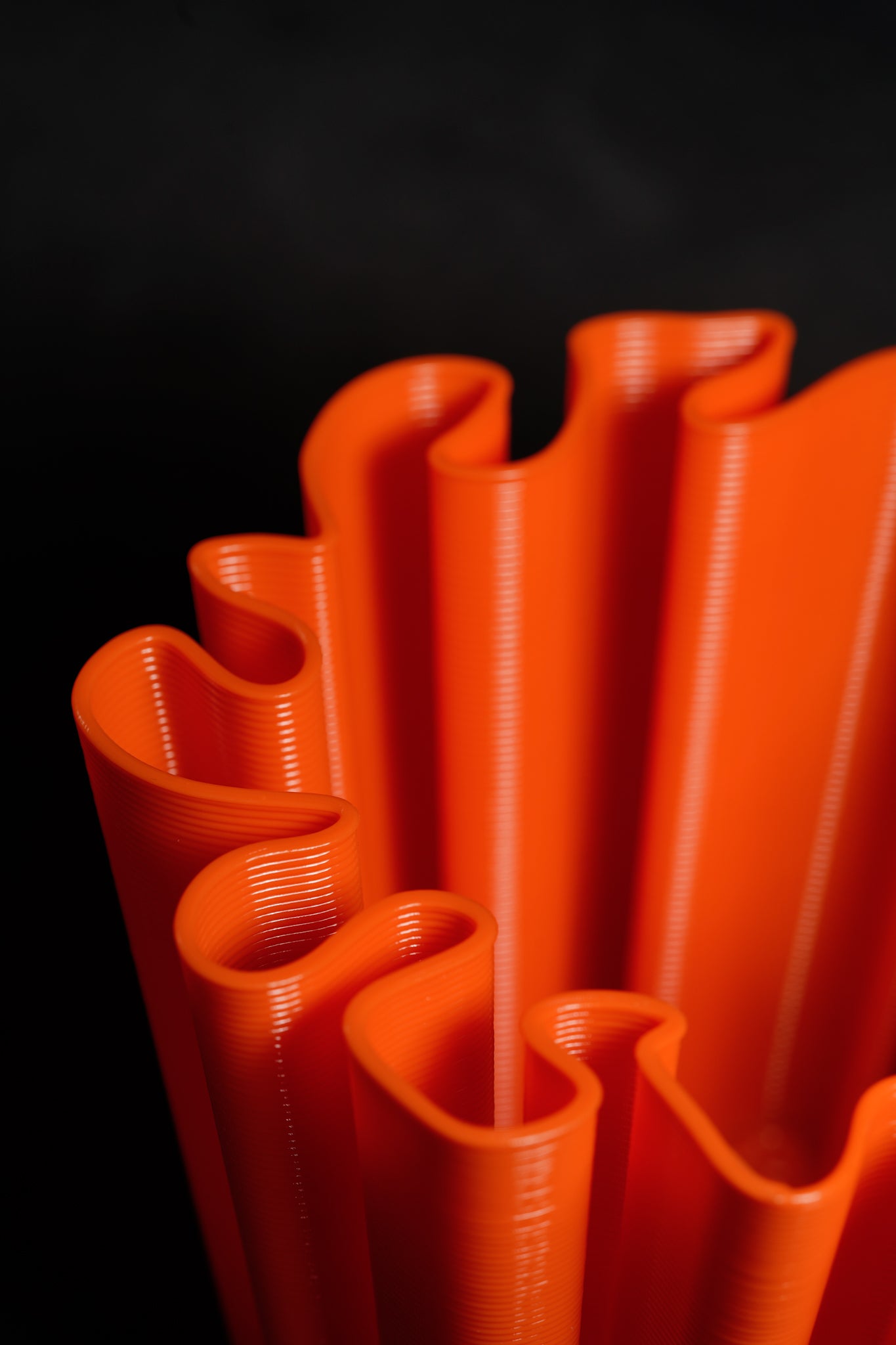 Coral vase