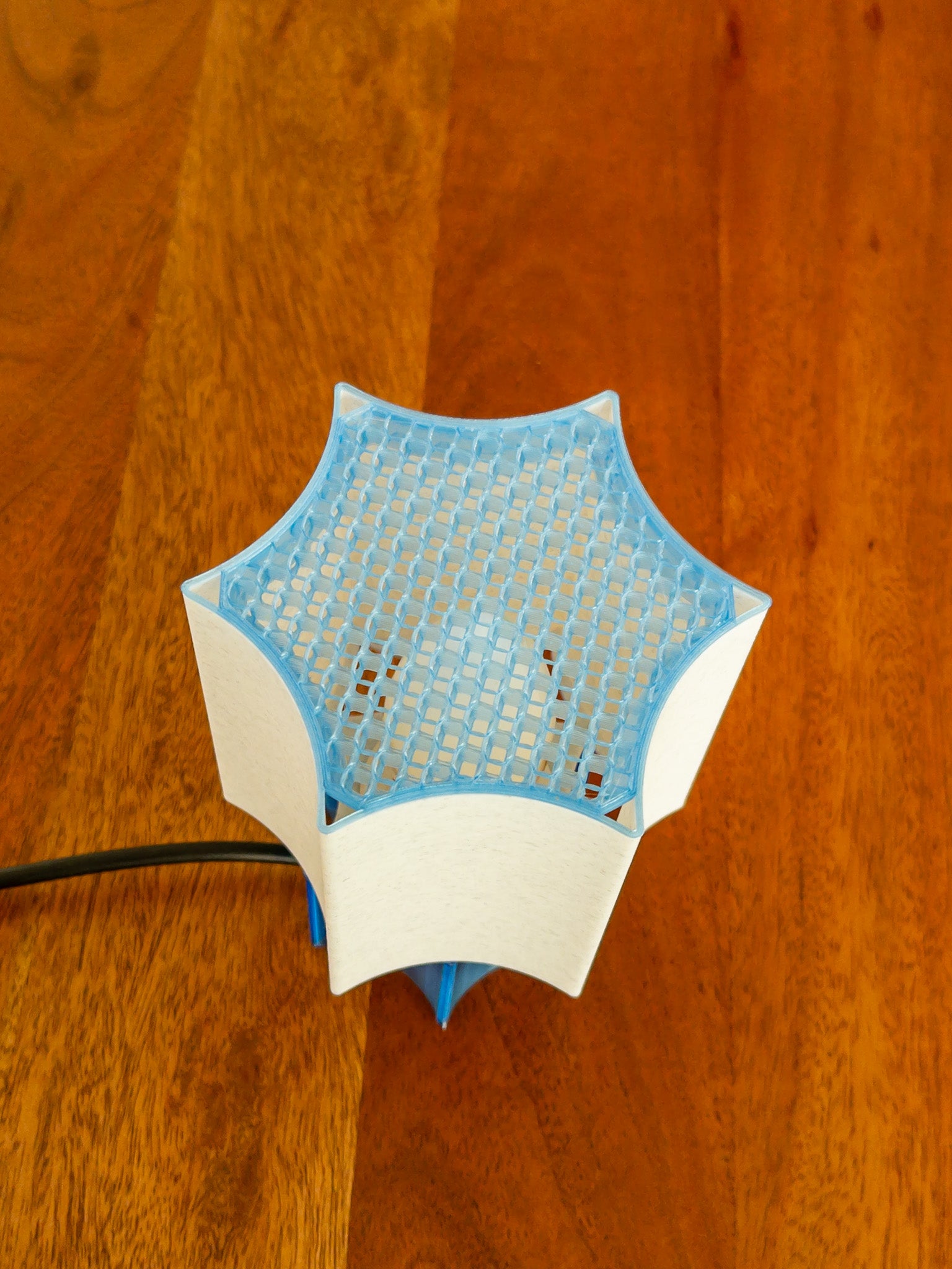 Clear Star coral Lamp Blue