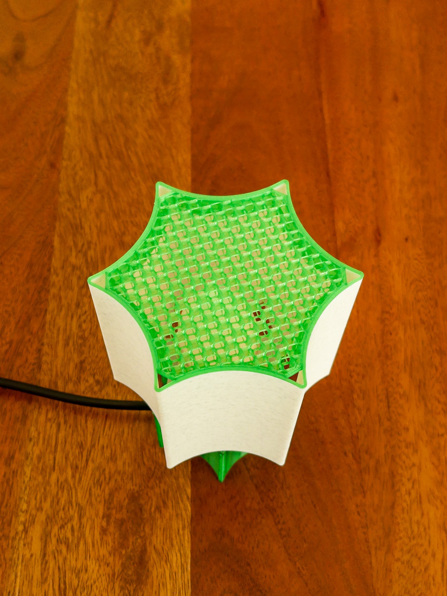 Clear Star coral Lamp Green