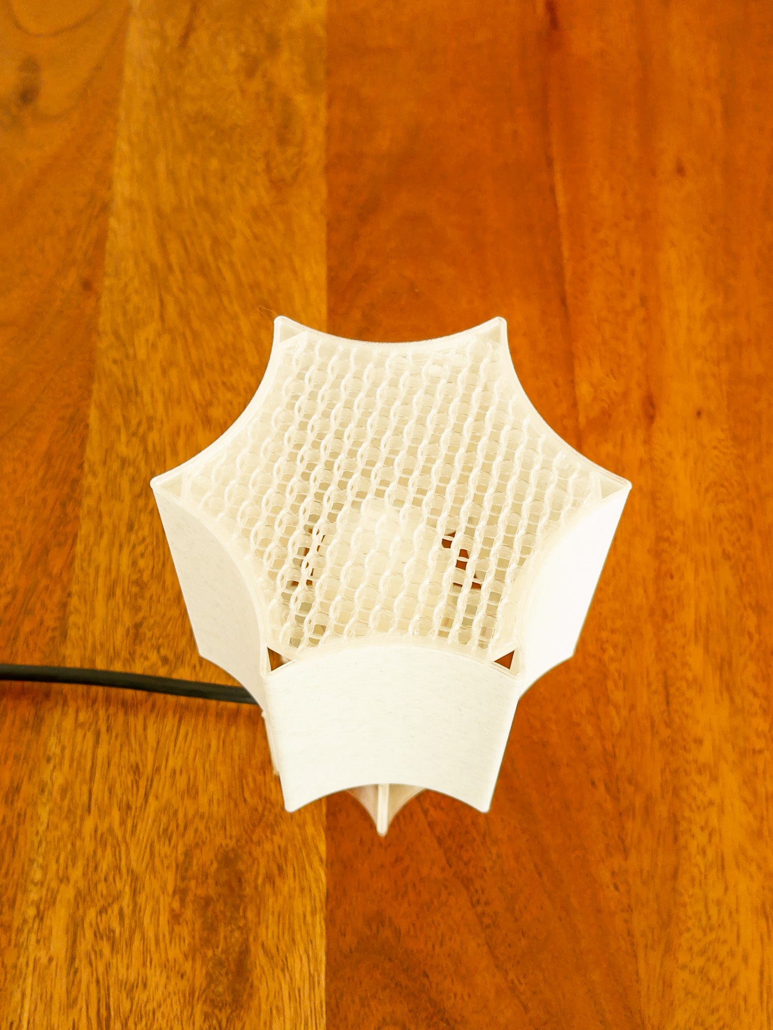 Clear Star coral Lamp Transparent
