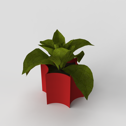 Star Coral Pot holding a miniature plant.