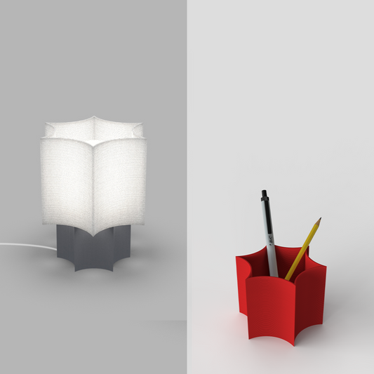 Star coral lamp and star coral pot combo image