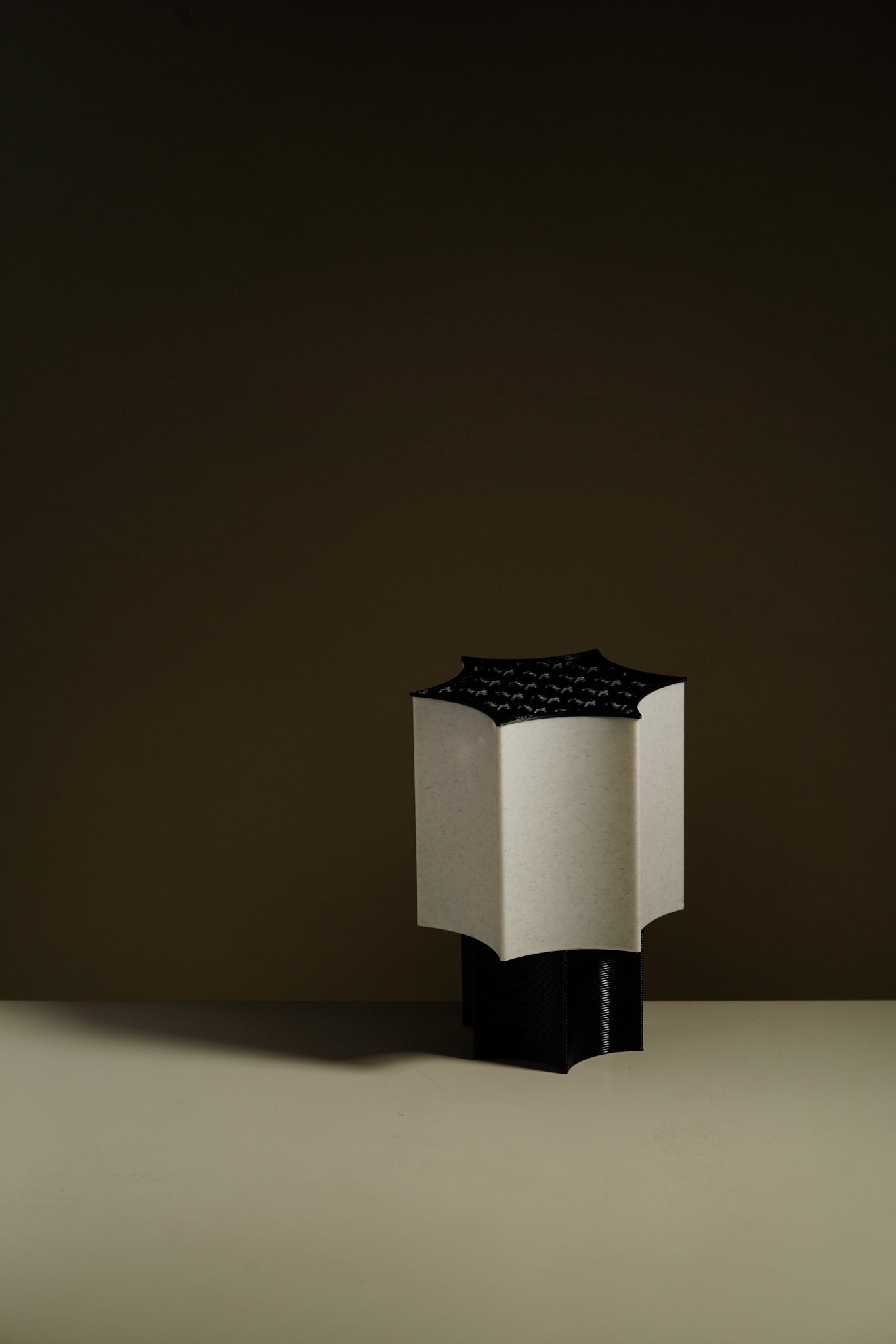 Star Coral Lamp