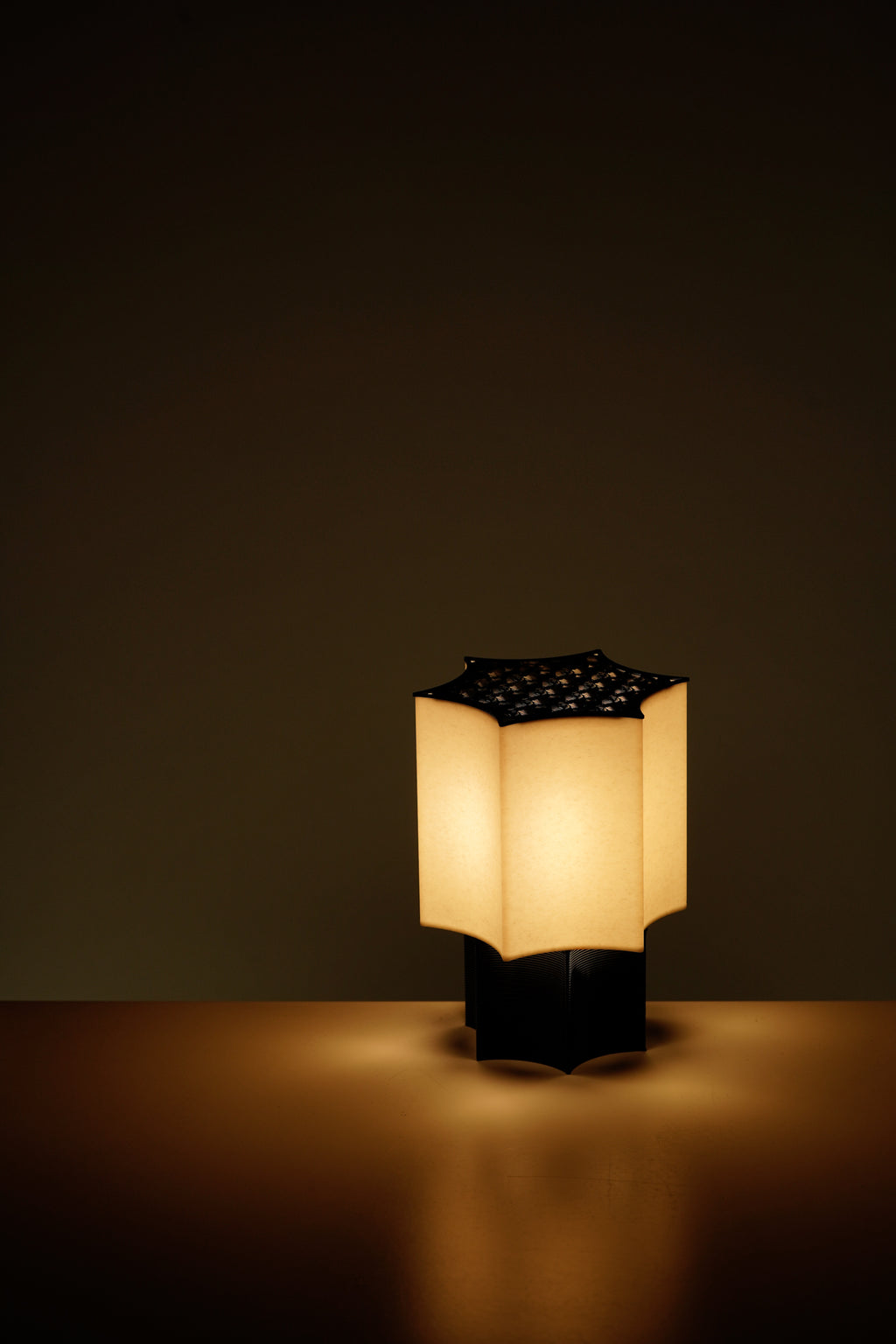 Star Coral Lamp