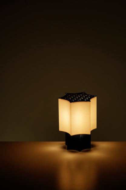 Star Coral Lamp
