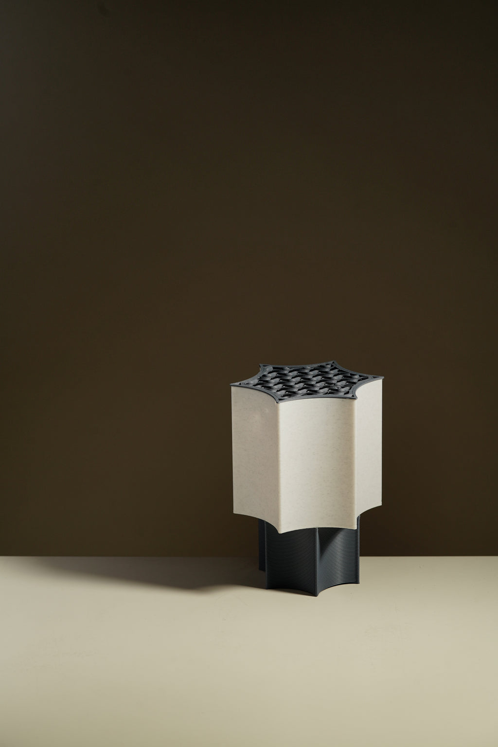 Star Coral Lamp