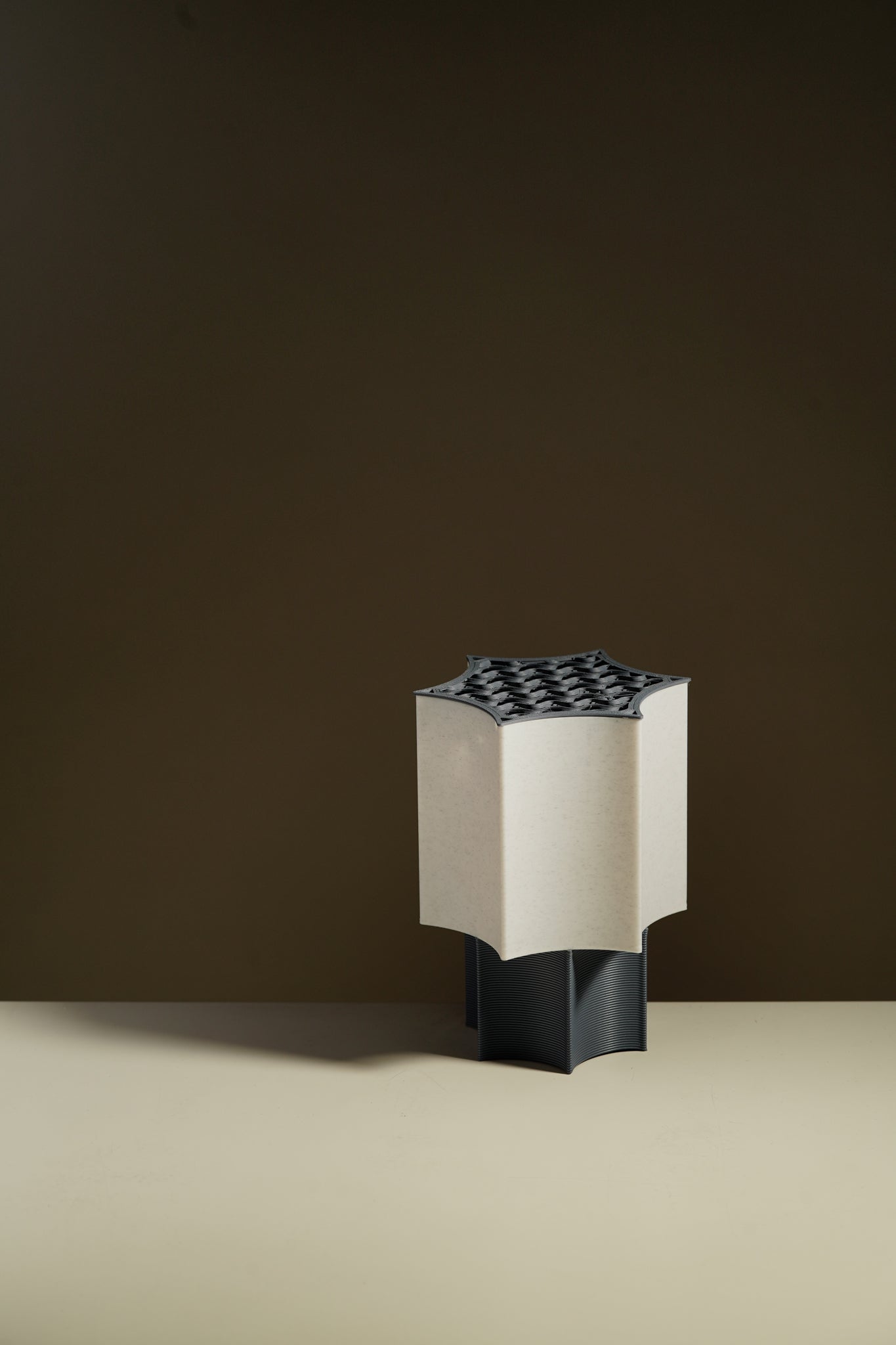 Star Coral Lamp