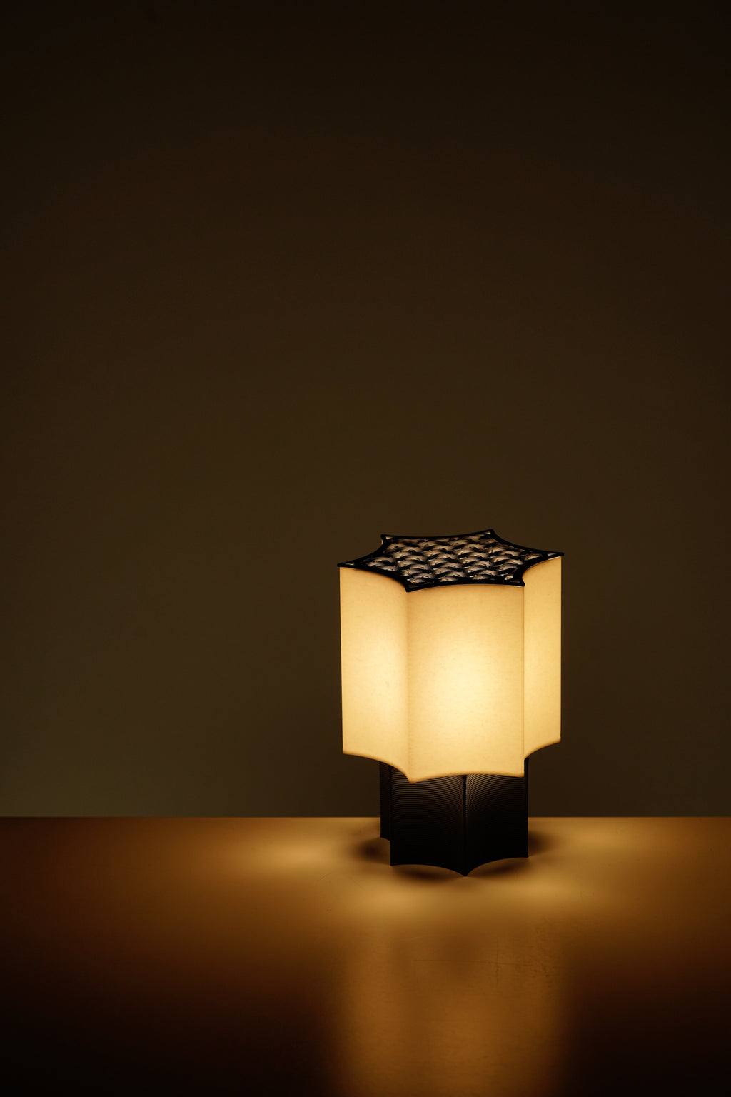 Star Coral Lamp