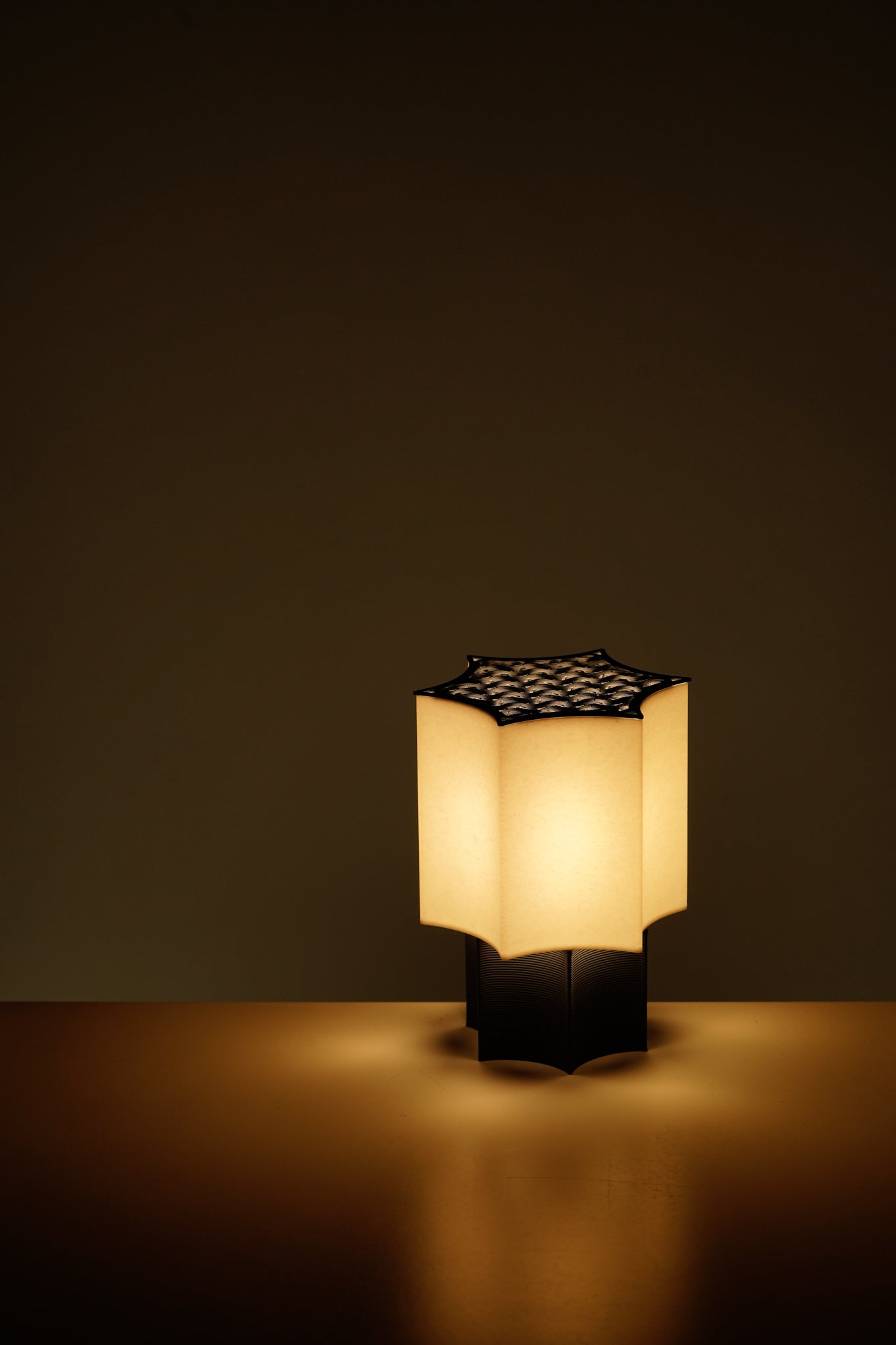 Star Coral Lamp