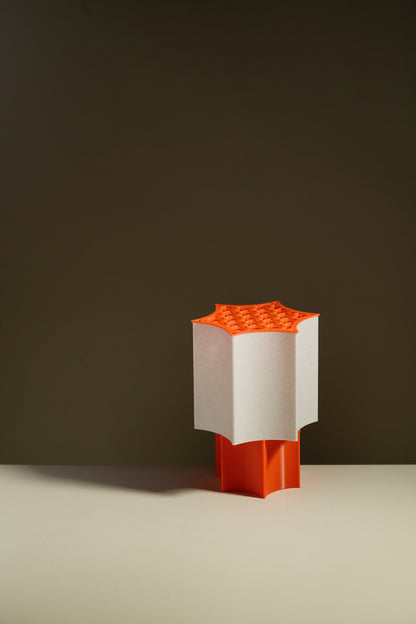 Star Coral Lamp