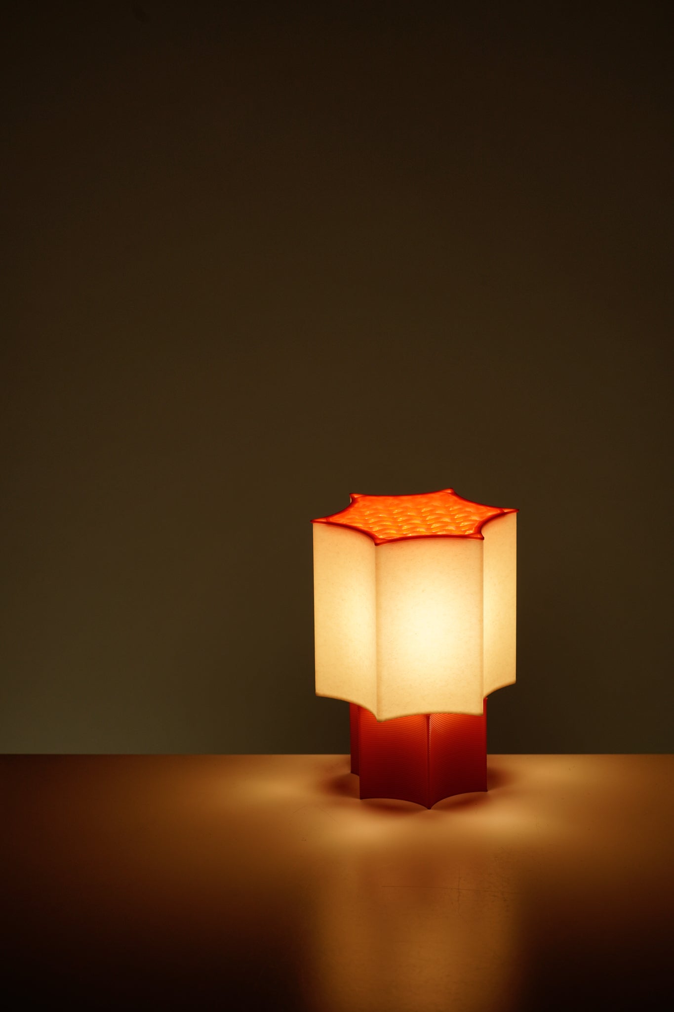 Star Coral Lamp