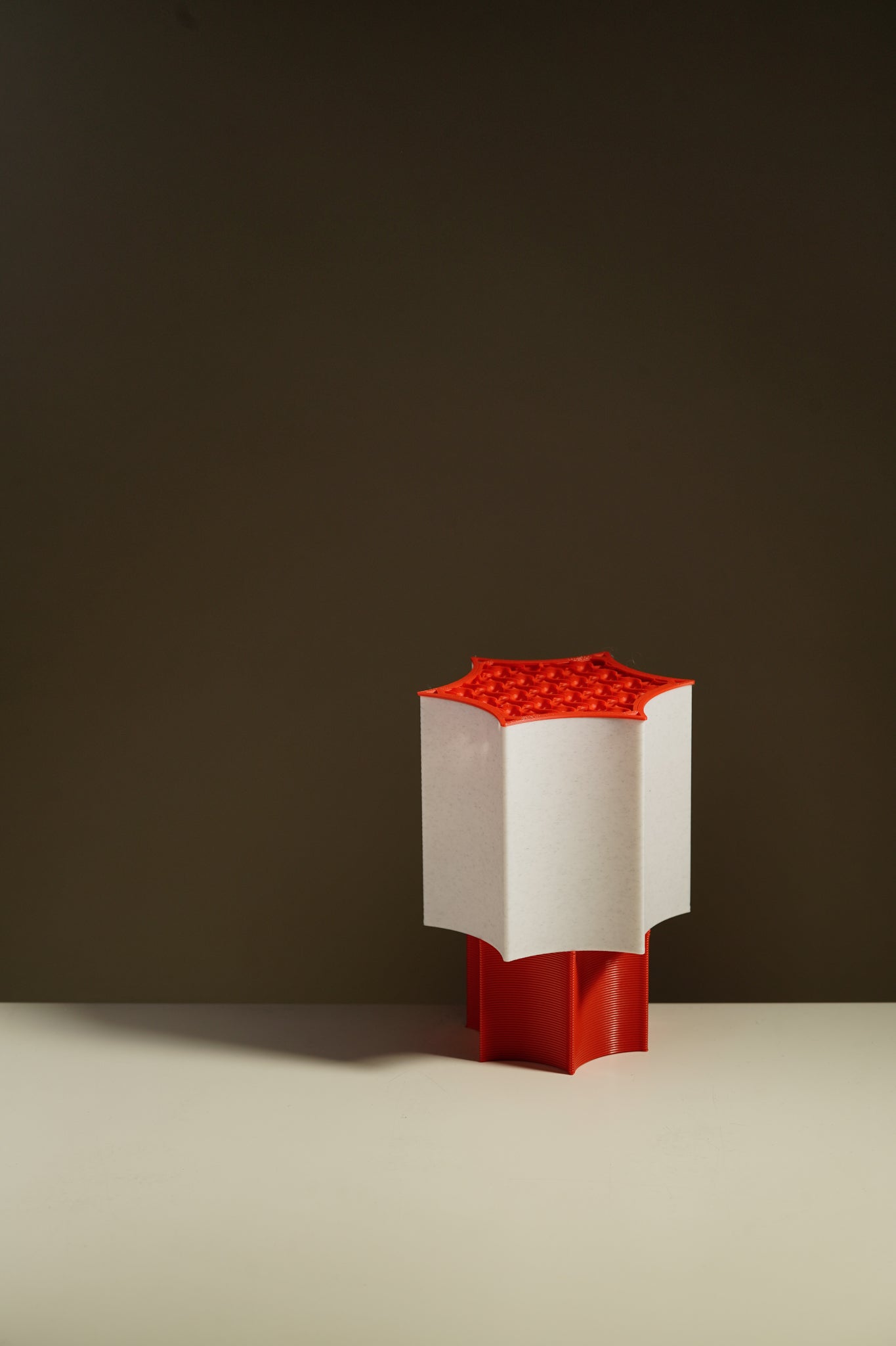 Star Coral Lamp
