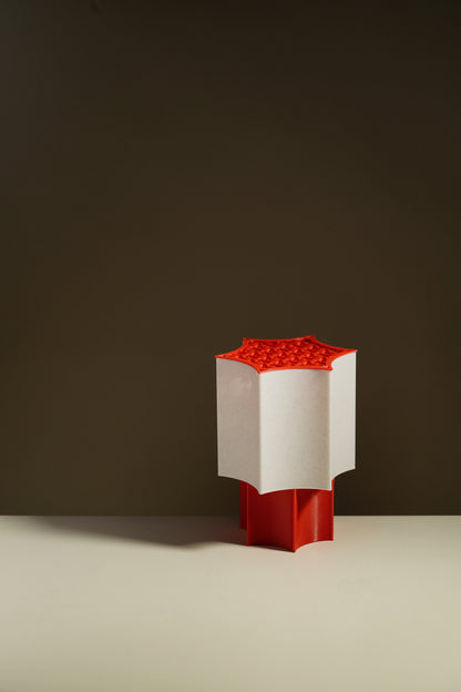 Star Coral Lamp