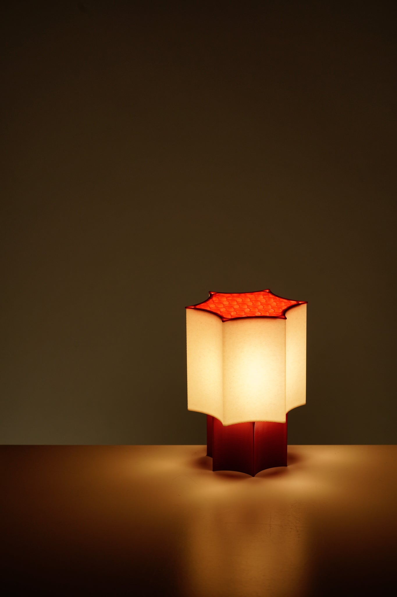 Star Coral Lamp