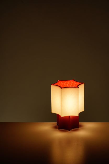 Star Coral Lamp