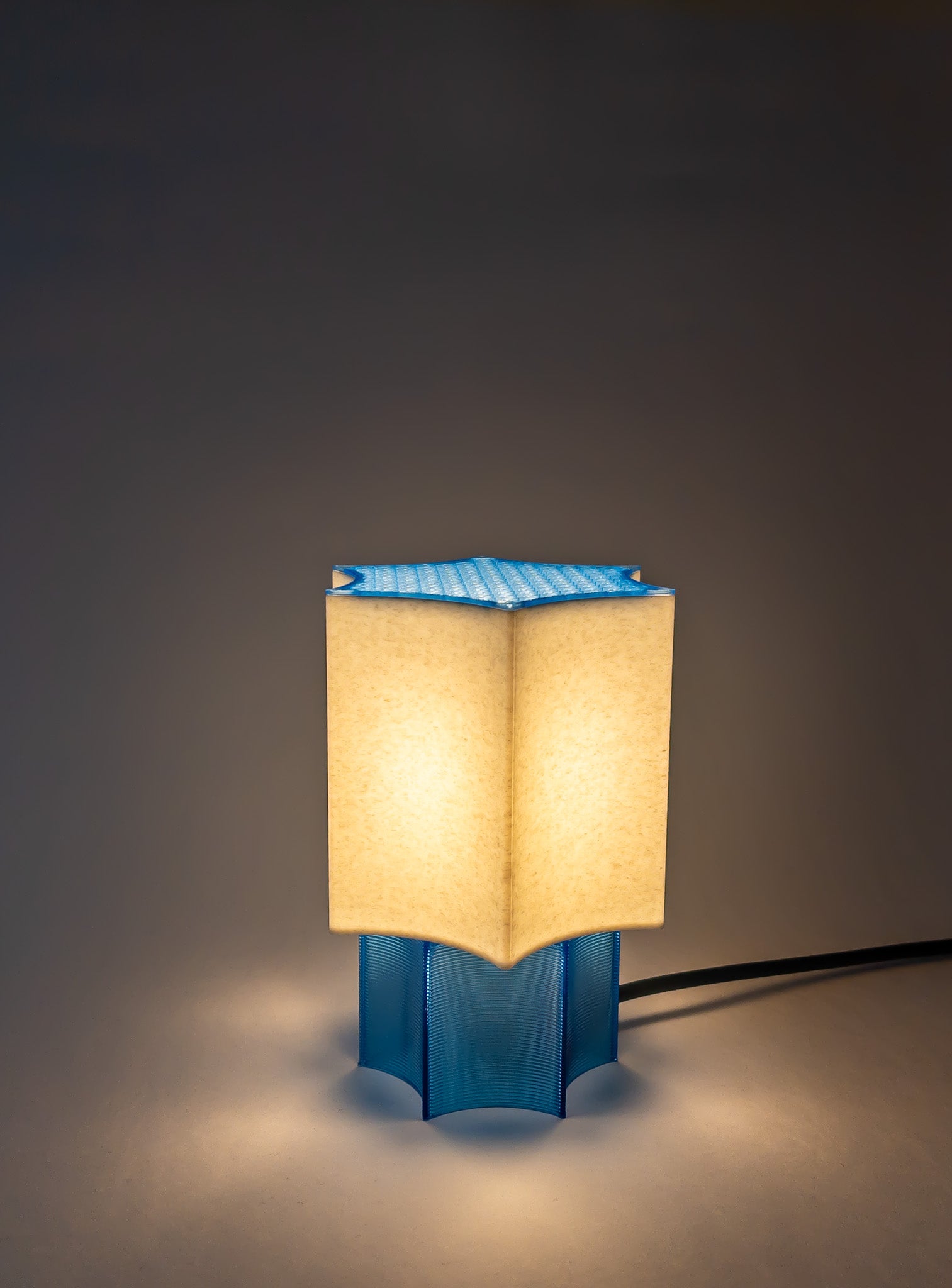 Clear Star coral Lamp Blue