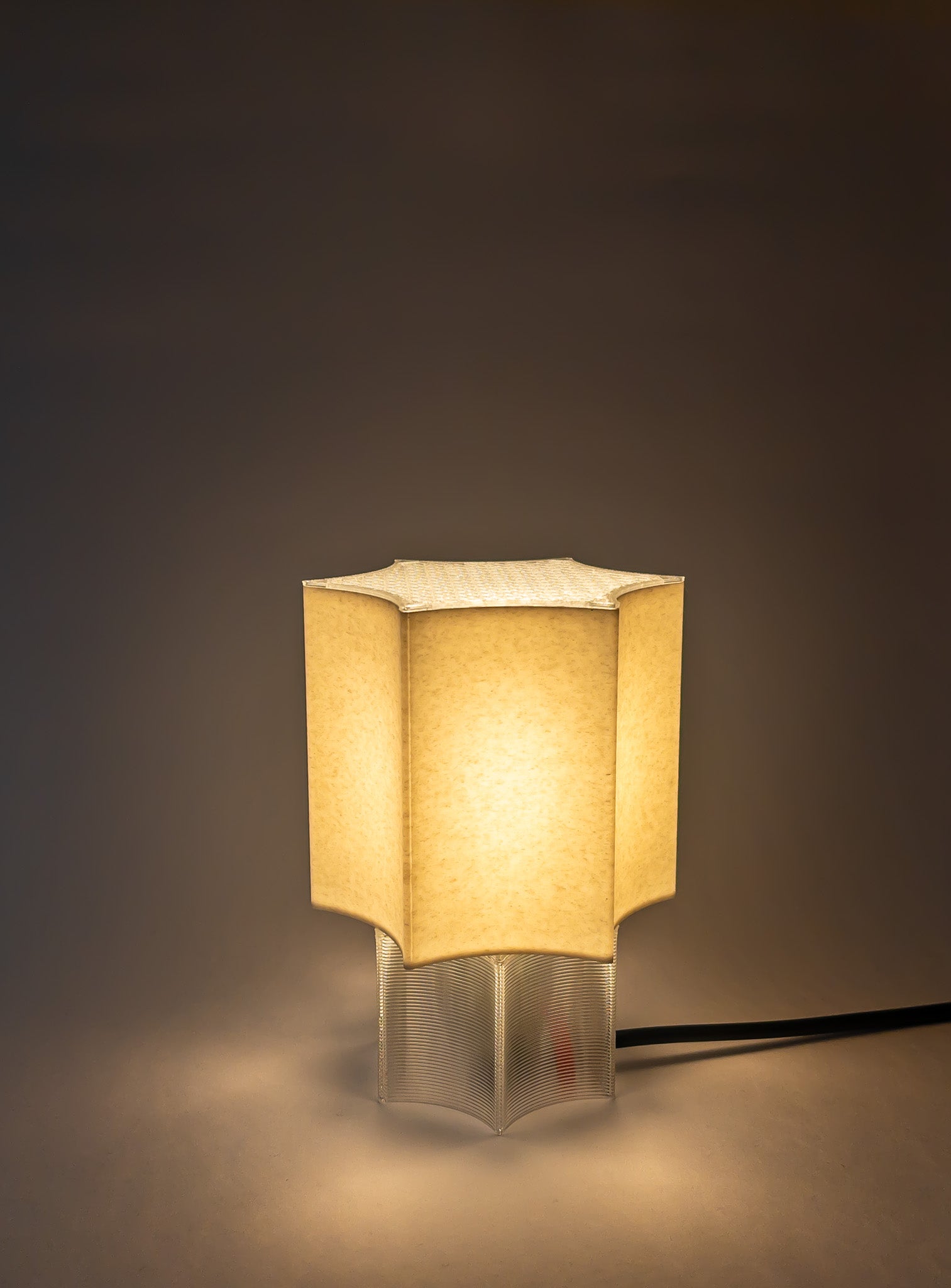 Clear Star coral Lamp Transparent