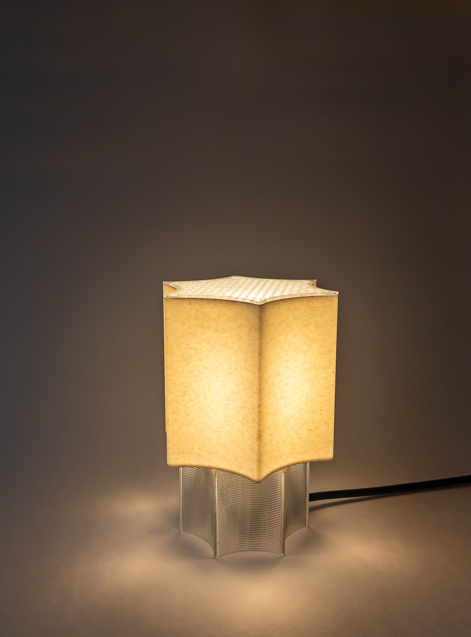 Clear Star coral Lamp Transparent