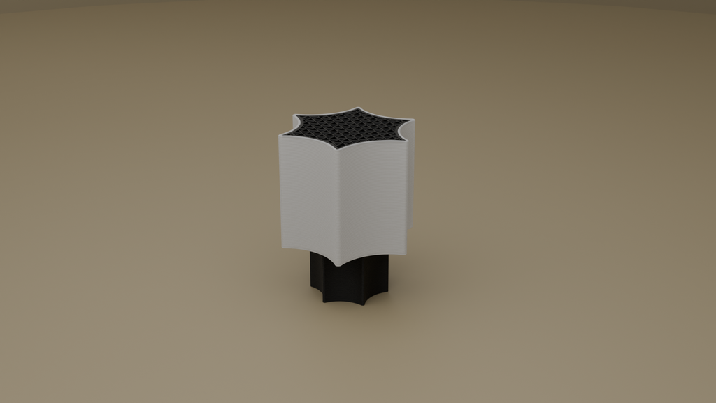 Off shot of star coral lamp in black color
