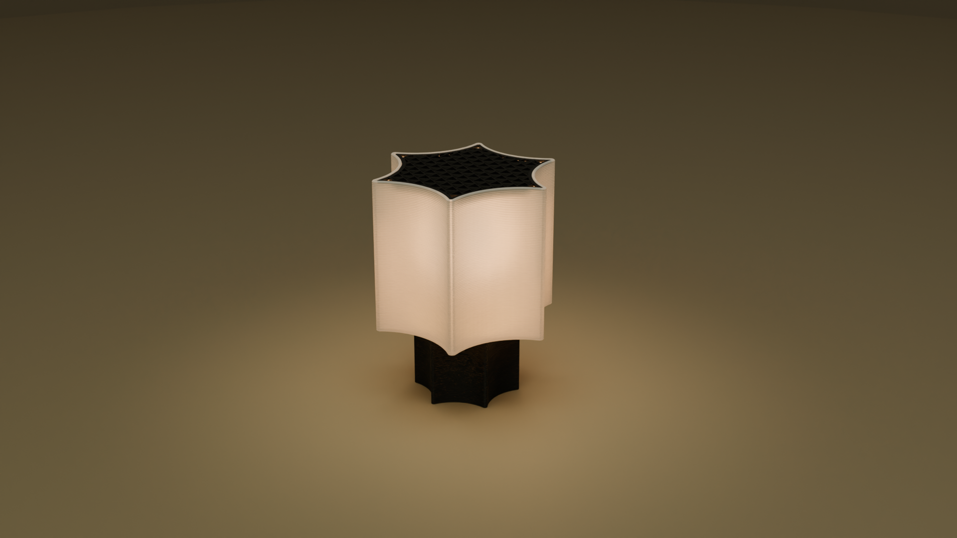 On shot of star coral lamp in black color
