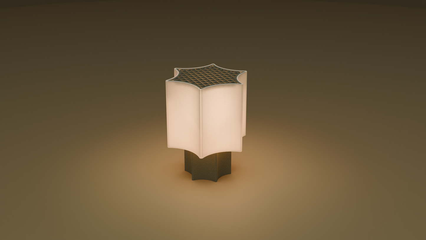 Lit image of star coral lamp in black color